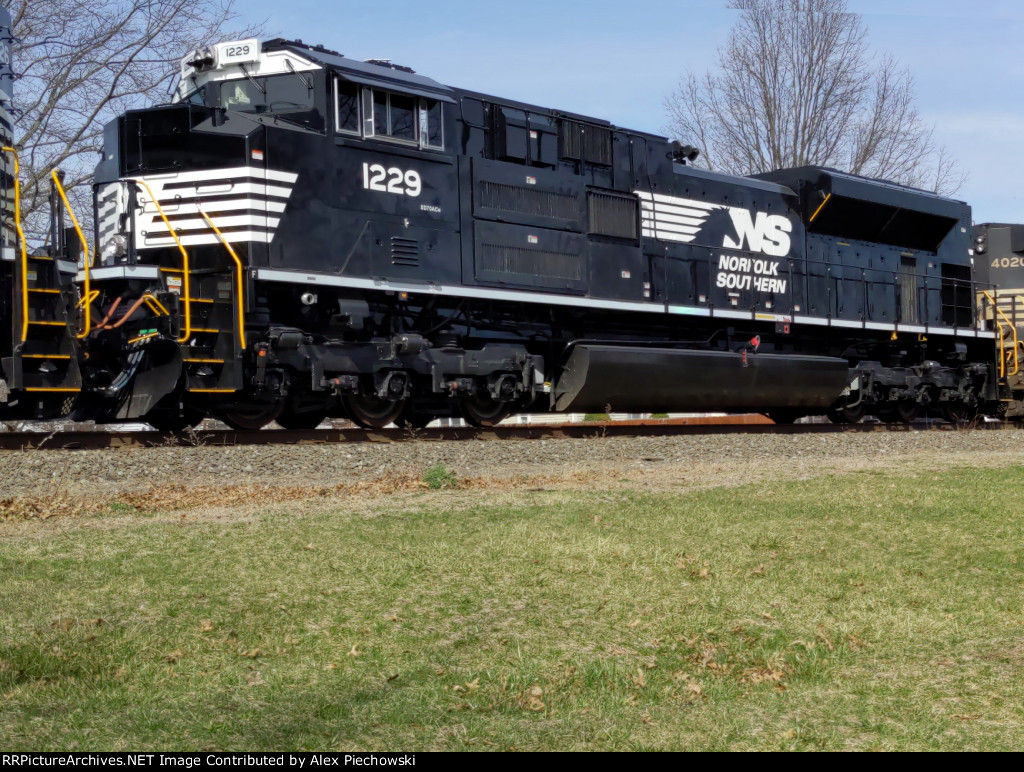 NS 1229